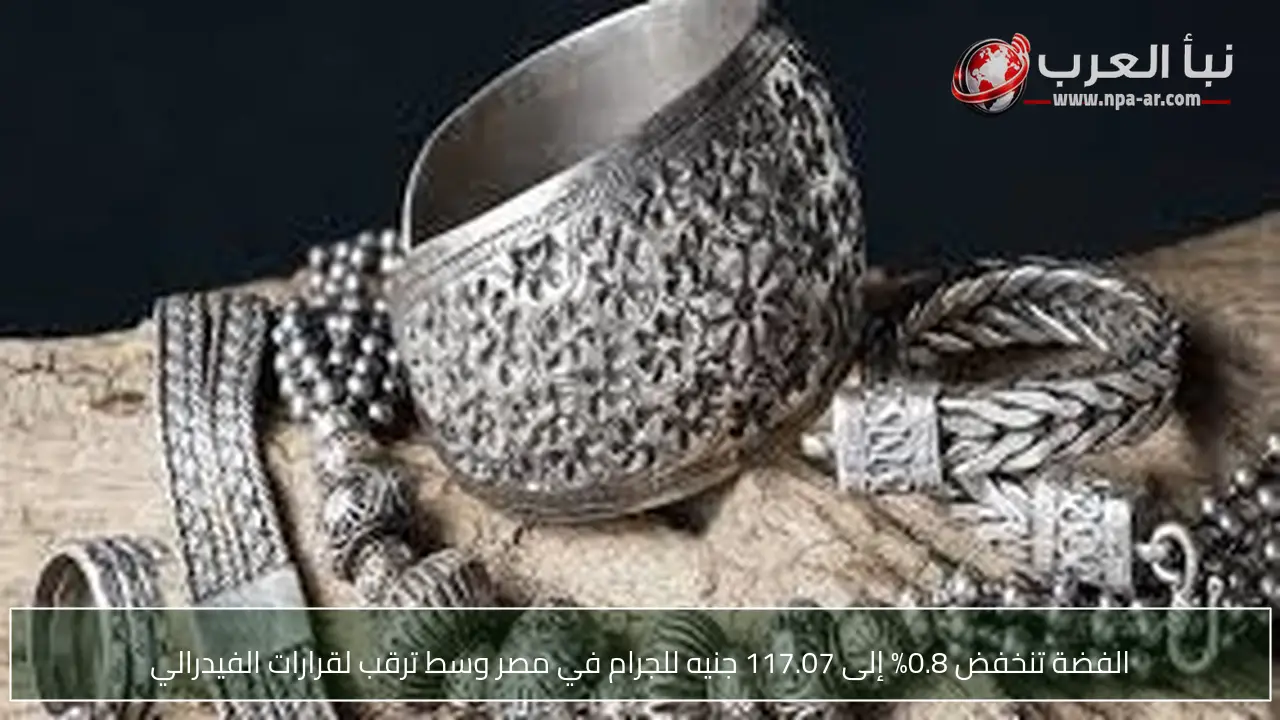 الفضة تنخفض 0.8% إلى 117.07 جنيه للجرام في مصر وسط ترقب لقرارات الفيدرالي