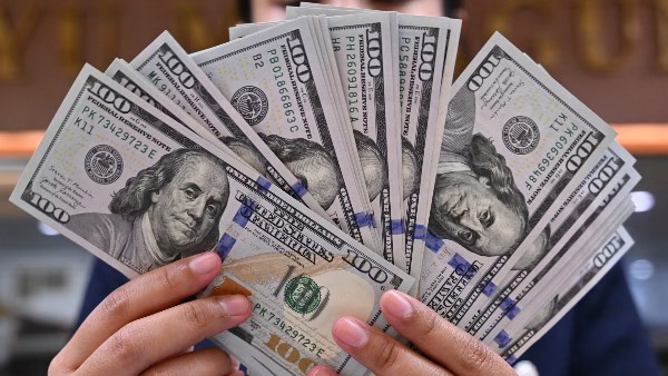 سعر الدولار اليوم