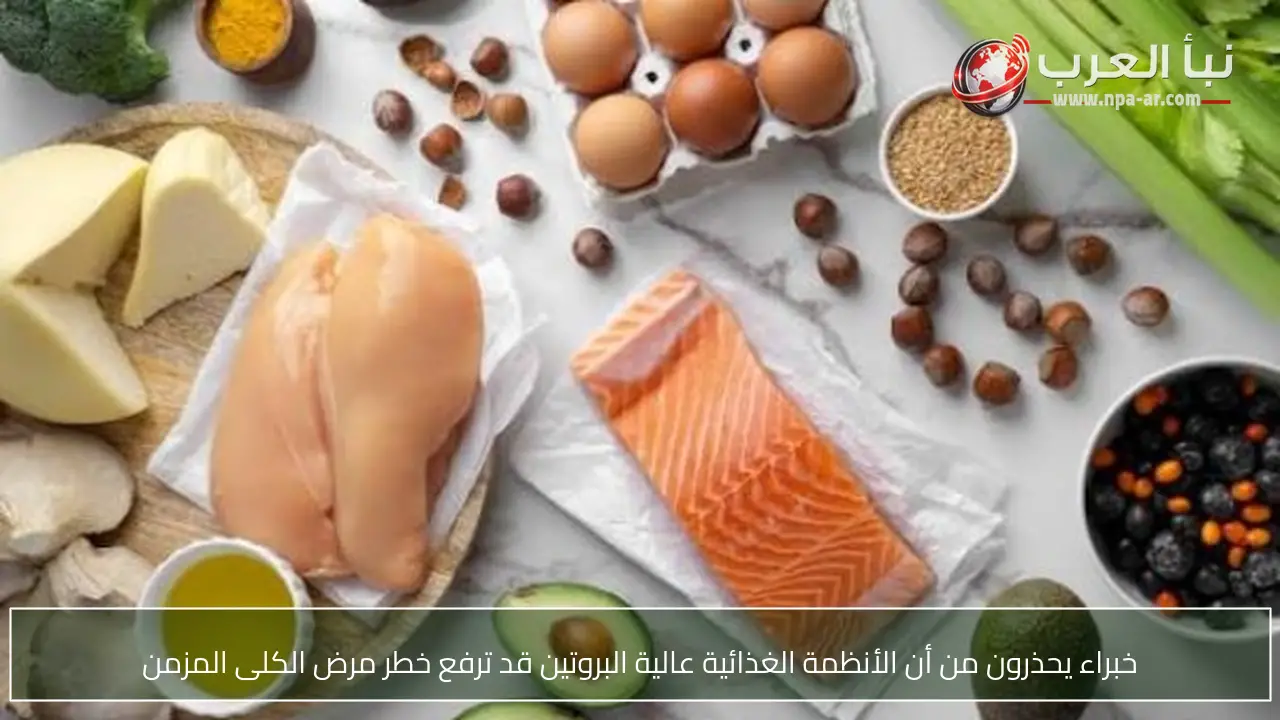 خبراء يحذرون من أن الأنظمة الغذائية عالية البروتين قد ترفع خطر مرض الكلى المزمن