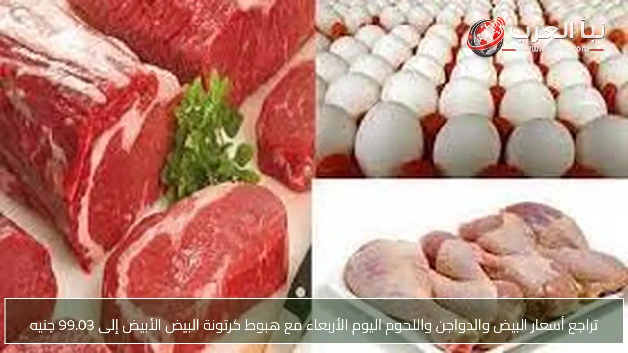 تراجع أسعار البيض والدواجن واللحوم اليوم الأربعاء مع هبوط كرتونة البيض الأبيض إلى 99.03 جنيه