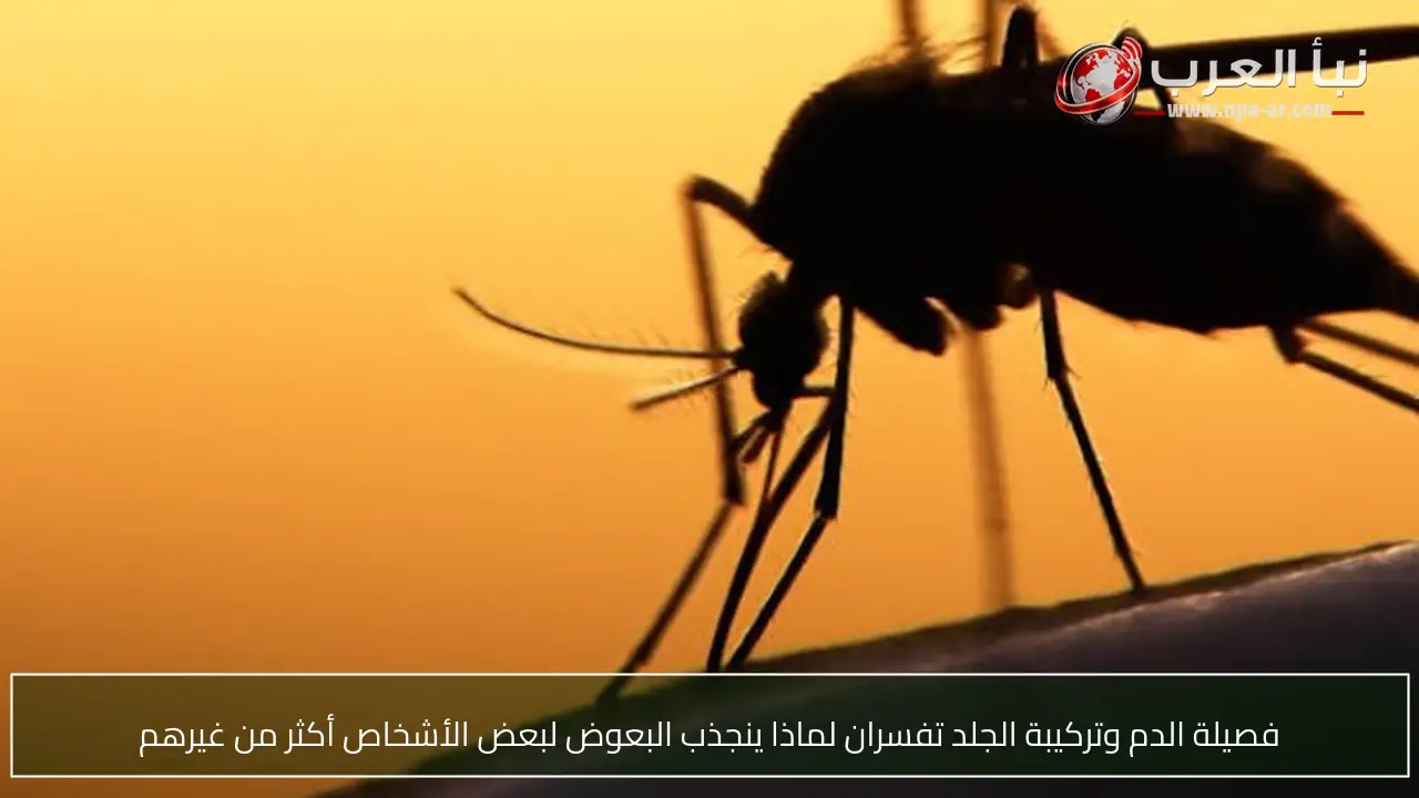 فصيلة الدم وتركيبة الجلد تفسران لماذا ينجذب البعوض لبعض الأشخاص أكثر من غيرهم