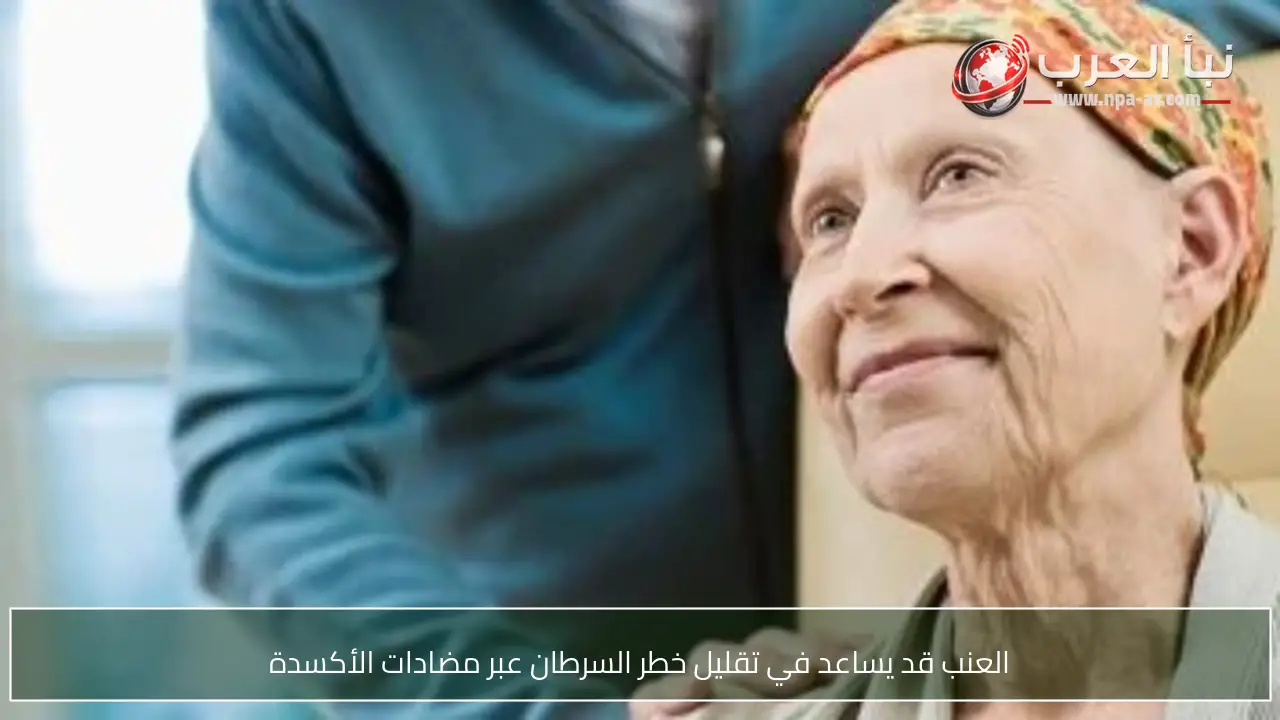 العنب قد يساعد في تقليل خطر السرطان عبر مضادات الأكسدة