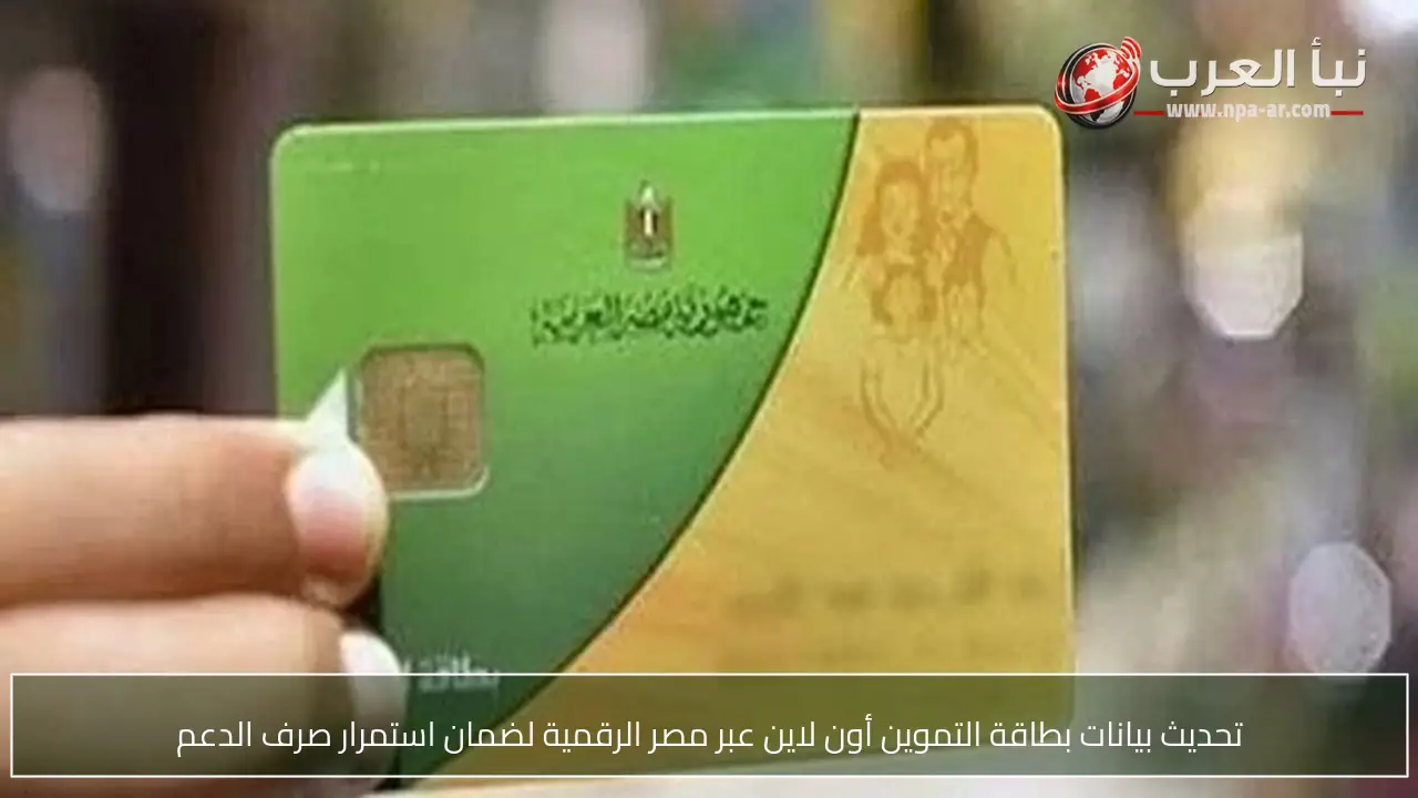 تحديث بيانات بطاقة التموين أون لاين عبر مصر الرقمية لضمان استمرار صرف الدعم