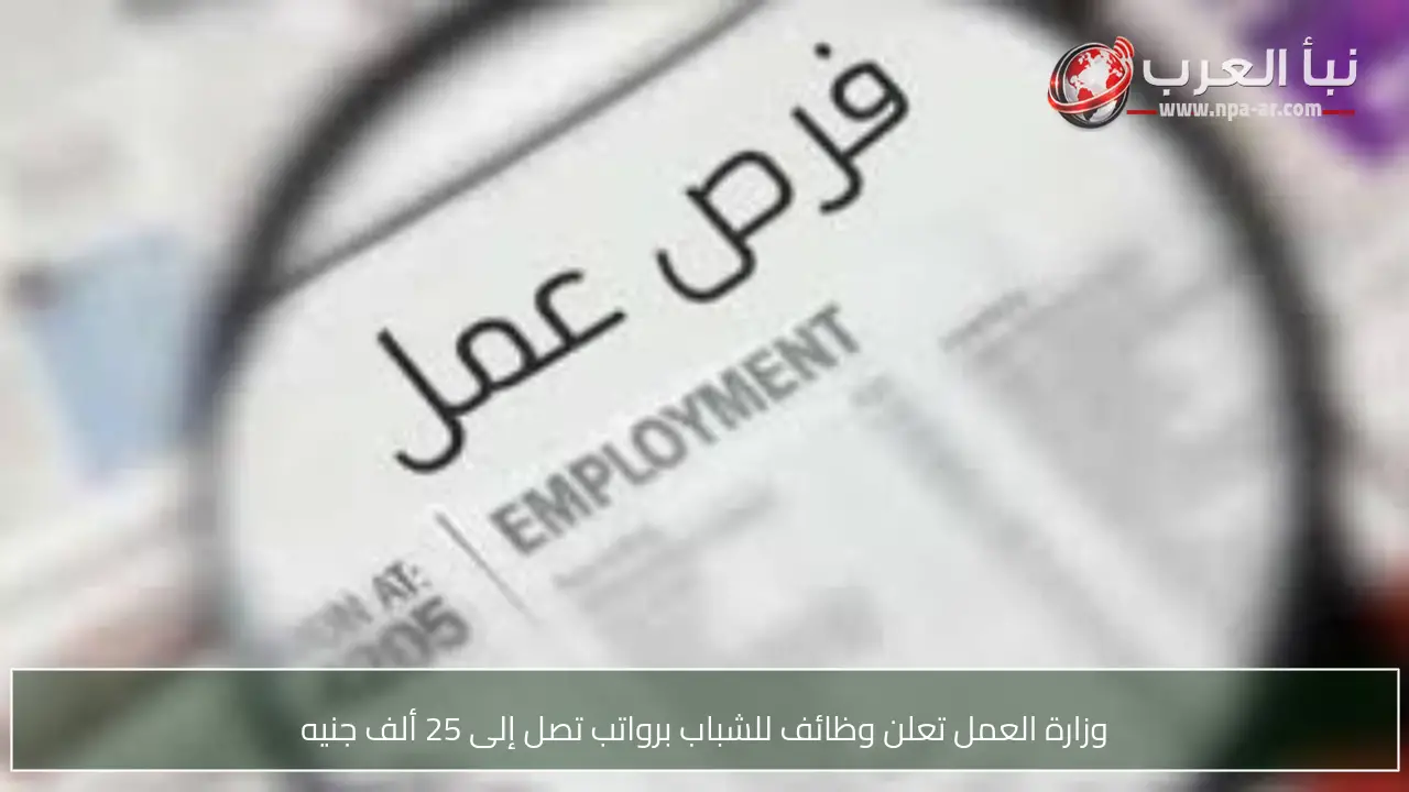 وزارة العمل تعلن وظائف للشباب برواتب تصل إلى 25 ألف جنيه