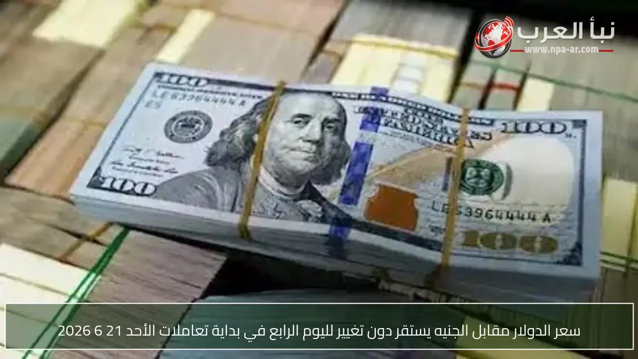 سعر الدولار مقابل الجنيه يستقر دون تغيير لليوم الرابع في بداية تعاملات الأحد 21 6 2026