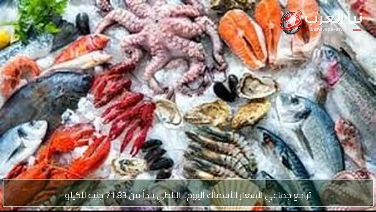 تراجع جماعي لأسعار الأسماك اليوم.. البلطي يبدأ من 71.83 جنيه للكيلو