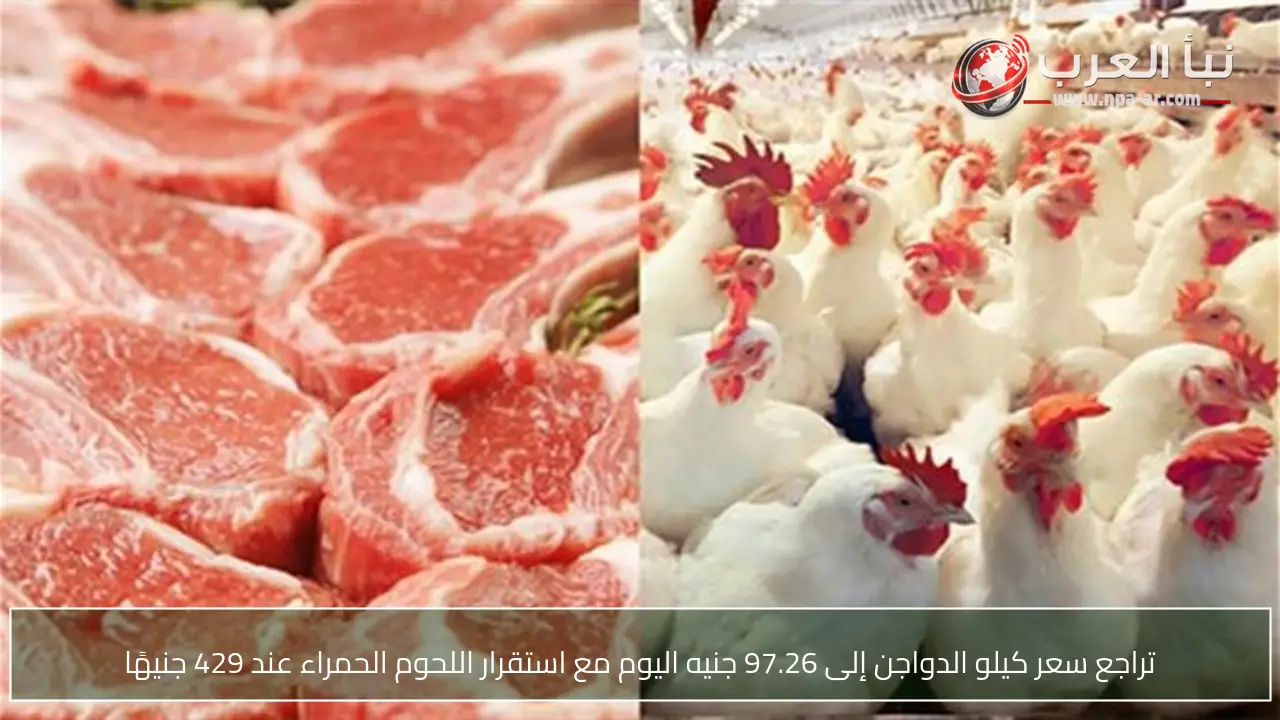 تراجع سعر كيلو الدواجن إلى 97.26 جنيه اليوم مع استقرار اللحوم الحمراء عند 429 جنيهًا