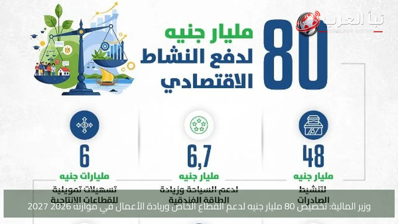 وزير المالية: تخصيص 80 مليار جنيه لدعم القطاع الخاص وريادة الأعمال في موازنة 2026 2027