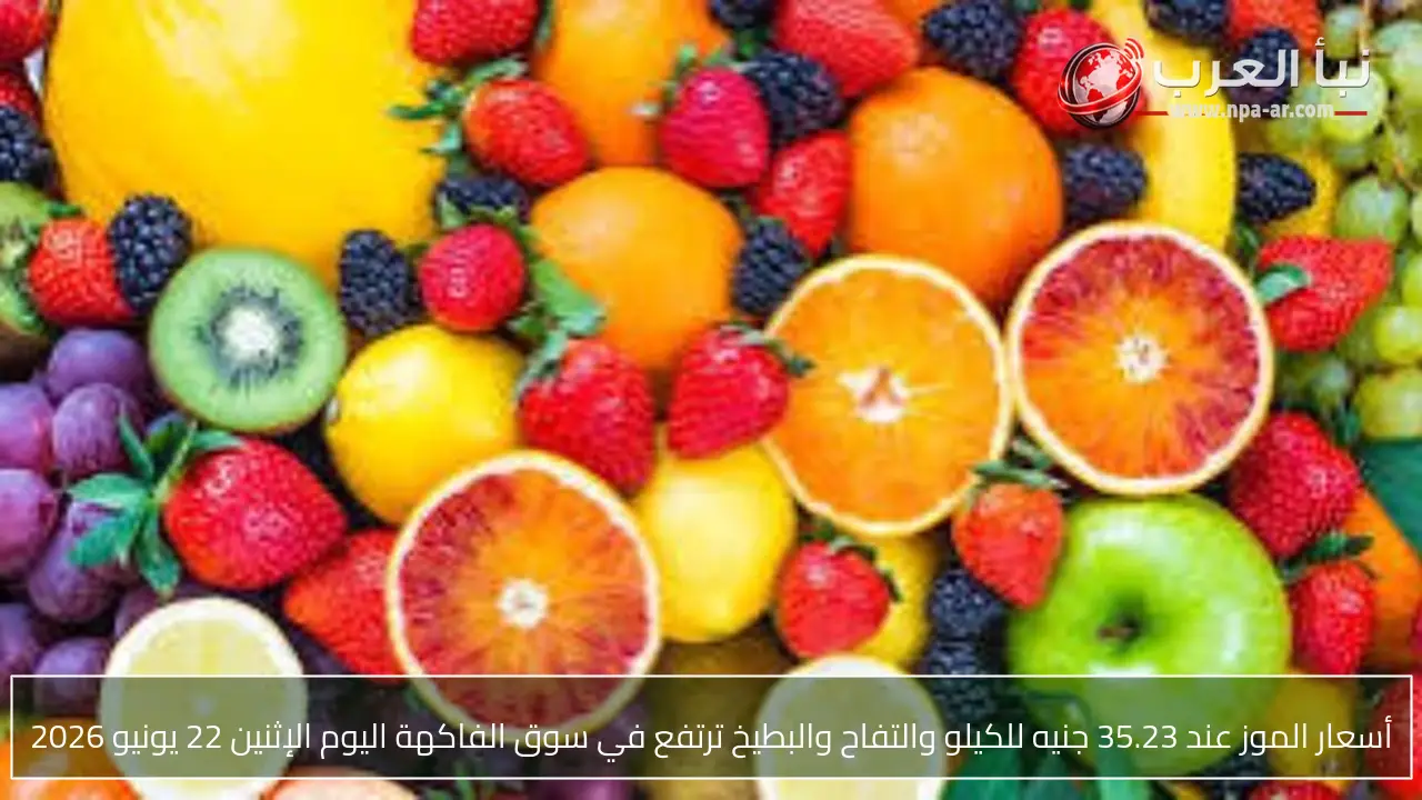 أسعار الموز عند 35.23 جنيه للكيلو والتفاح والبطيخ ترتفع في سوق الفاكهة اليوم الإثنين 22 يونيو 2026