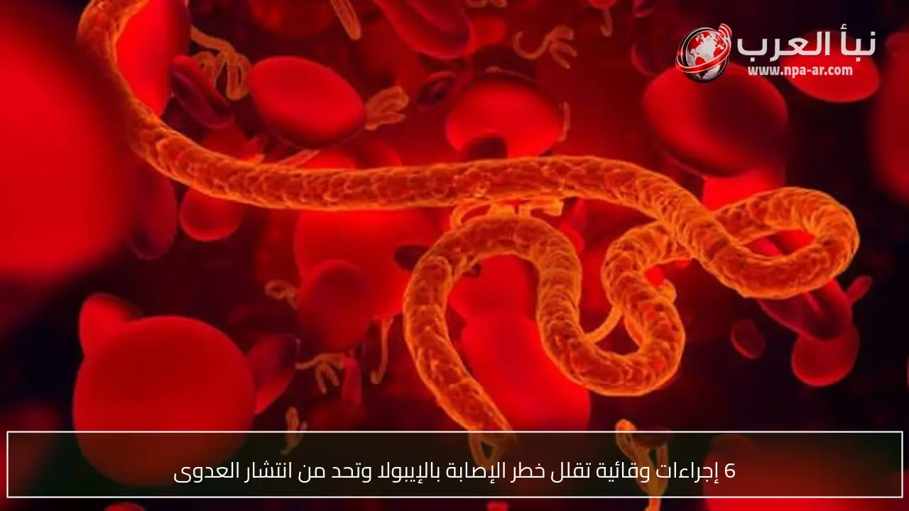 6 إجراءات وقائية تقلل خطر الإصابة بالإيبولا وتحد من انتشار العدوى