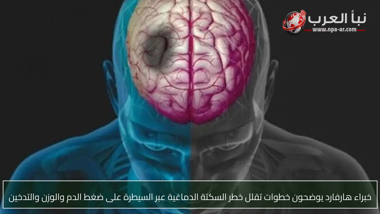 خبراء هارفارد يوضحون خطوات تقلل خطر السكتة الدماغية عبر السيطرة على ضغط الدم والوزن والتدخين