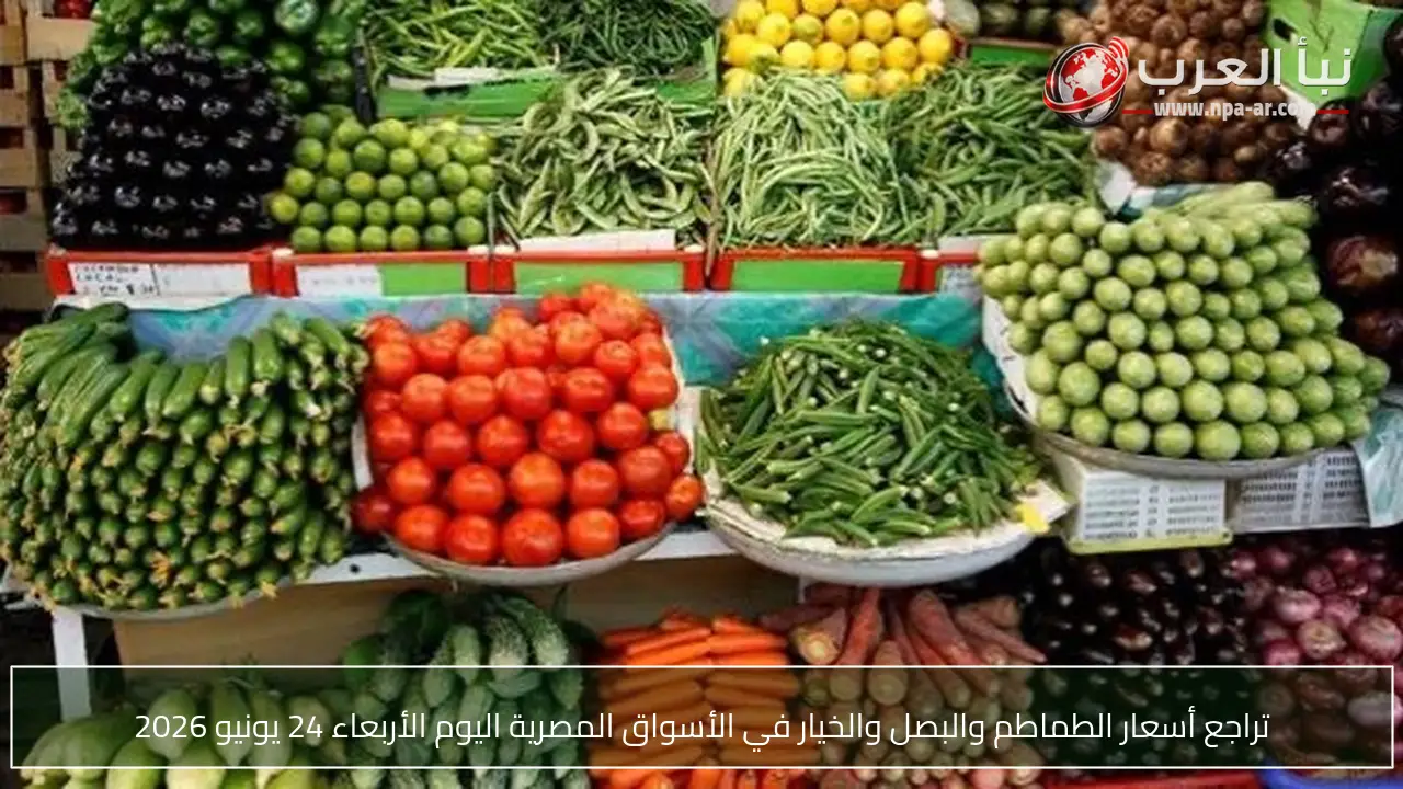 تراجع أسعار الطماطم والبصل والخيار في الأسواق المصرية اليوم الأربعاء 24 يونيو 2026
