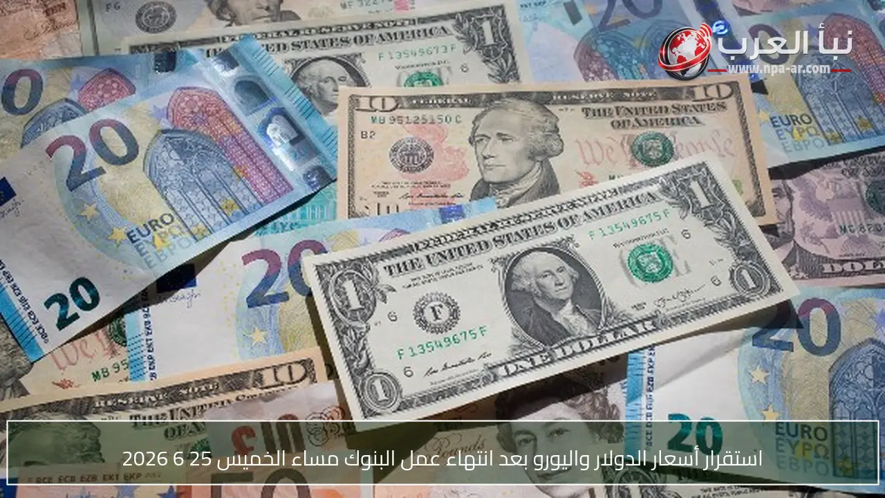 استقرار أسعار الدولار واليورو بعد انتهاء عمل البنوك مساء الخميس 25 6 2026