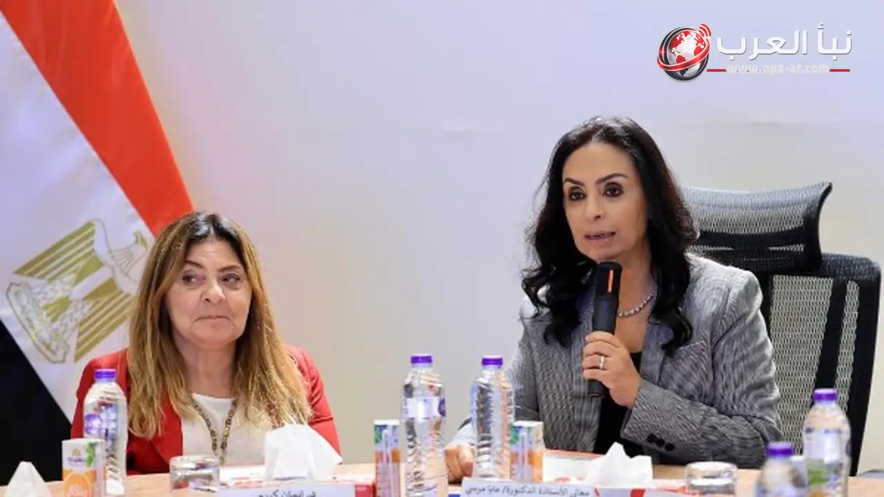 الهلال الأحمر المصري والمجلس القومي للأشخاص ذوي الإعاقة يوقعان بروتوكول تعاون لدعم وتمكين ذوي الإعاقة