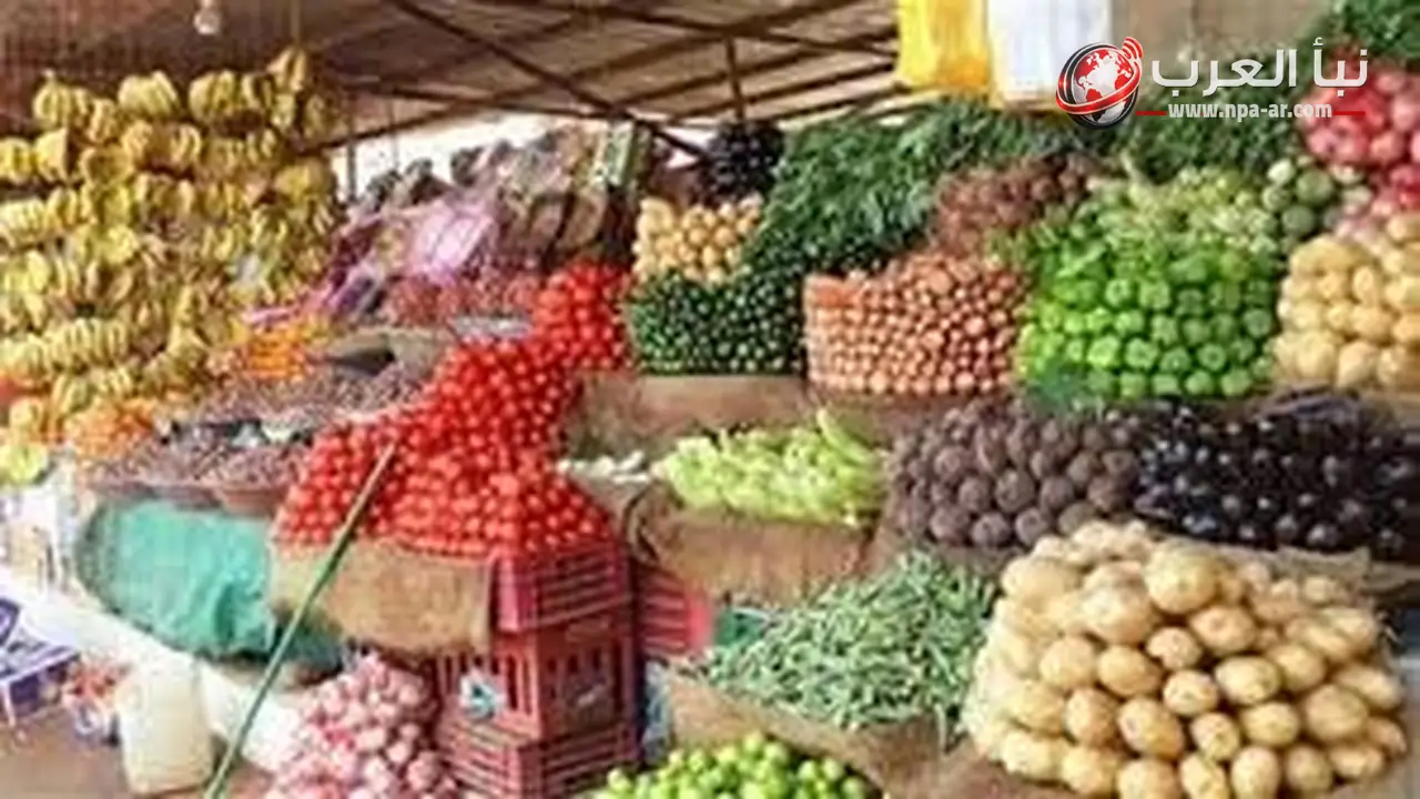 أسعار الخضروات اليوم الثلاثاء 30 يونيو 2026.. تراجع الطماطم والبصل والخيار وارتفاع البامية والكوسة