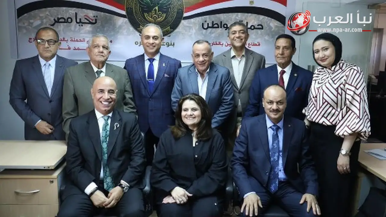 المصريون في الخارج يحيون ذكرى ثورة 30 يونيو عبر ندوة بُثت من هولندا والقاهرة