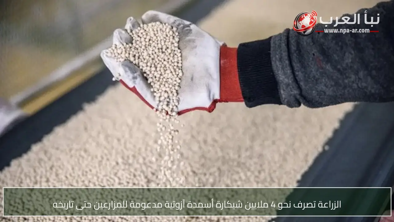 الزراعة تصرف نحو 4 ملايين شيكارة أسمدة آزوتية مدعومة للمزارعين حتى تاريخه