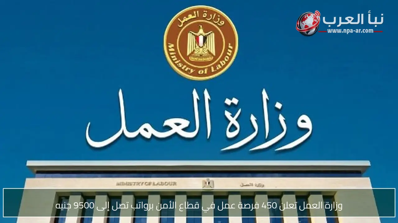 وزارة العمل تعلن 450 فرصة عمل في قطاع الأمن برواتب تصل إلى 9500 جنيه