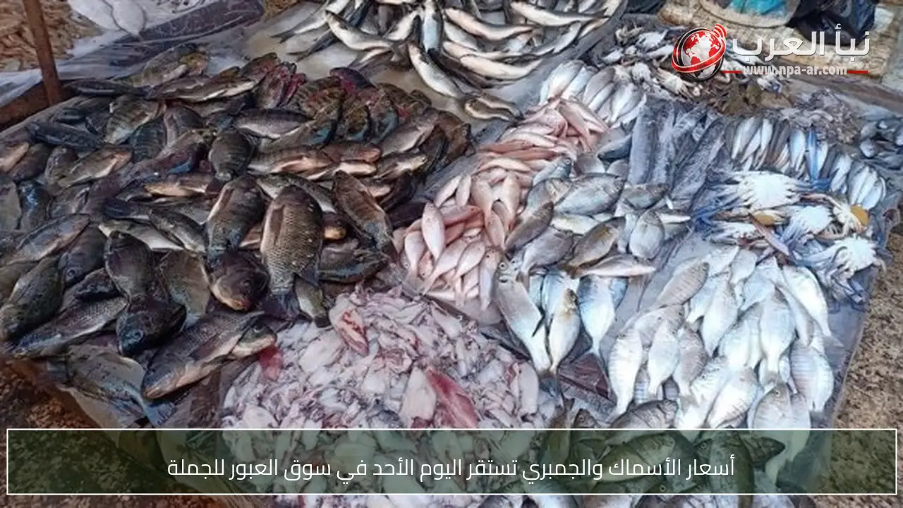أسعار الأسماك والجمبري تستقر اليوم الأحد في سوق العبور للجملة