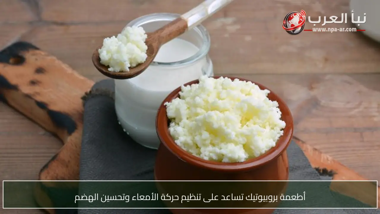 أطعمة بروبيوتيك تساعد على تنظيم حركة الأمعاء وتحسين الهضم