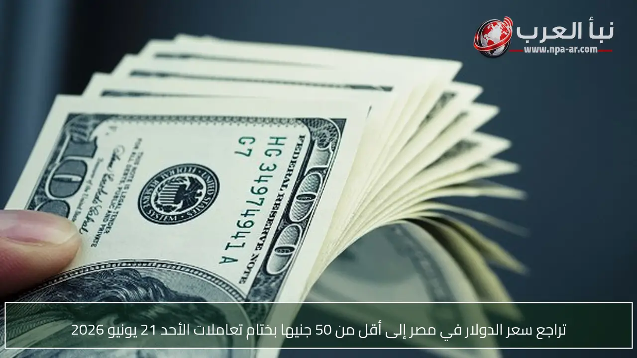 تراجع سعر الدولار في مصر إلى أقل من 50 جنيها بختام تعاملات الأحد 21 يونيو 2026