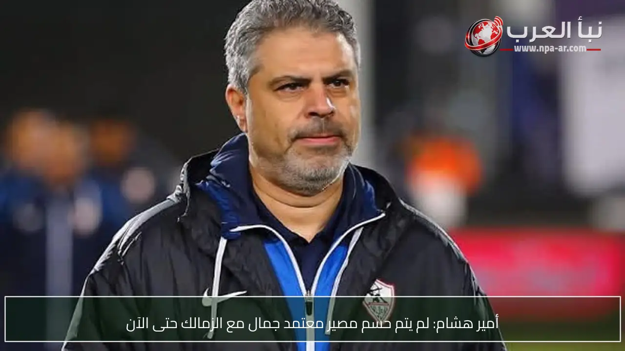 أمير هشام: لم يتم حسم مصير معتمد جمال مع الزمالك حتى الآن