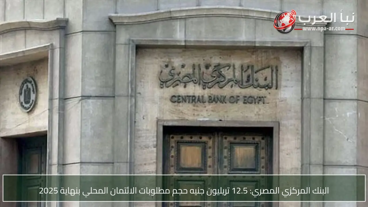 البنك المركزي المصري: 12.5 تريليون جنيه حجم مطلوبات الائتمان المحلي بنهاية 2025