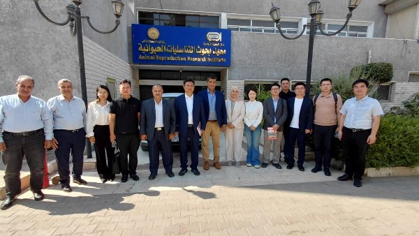 معهد بحوث التناسليات الحيوانية يستقبل وفدًا صينيًا لبحث التعاون العلمي والاستثماري في الثروة الحيوانية