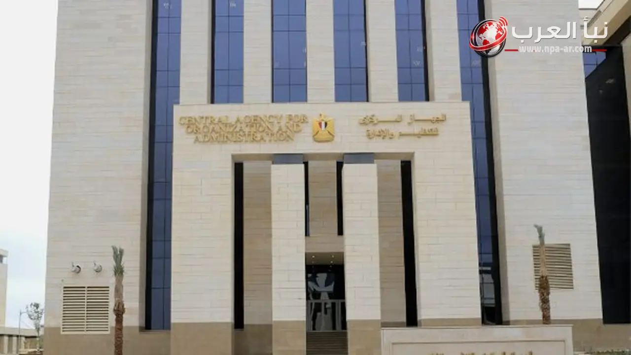 فتح باب التقدم للتعاقد في وظائف بوزارة التنمية المحلية والبيئة عبر بوابة الوظائف الحكومية