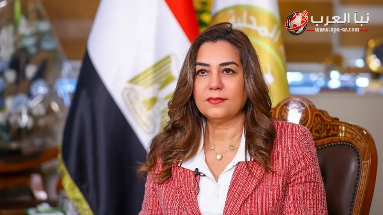 وزارة التنمية المحلية والبيئة تفتح باب التقديم لـ21 وظيفة بنظام التعاقد