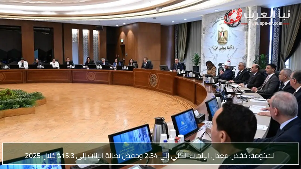 الحكومة: خفض معدل الإنجاب الكلي إلى 2.34 وخفض بطالة الإناث إلى 15.3% خلال 2025