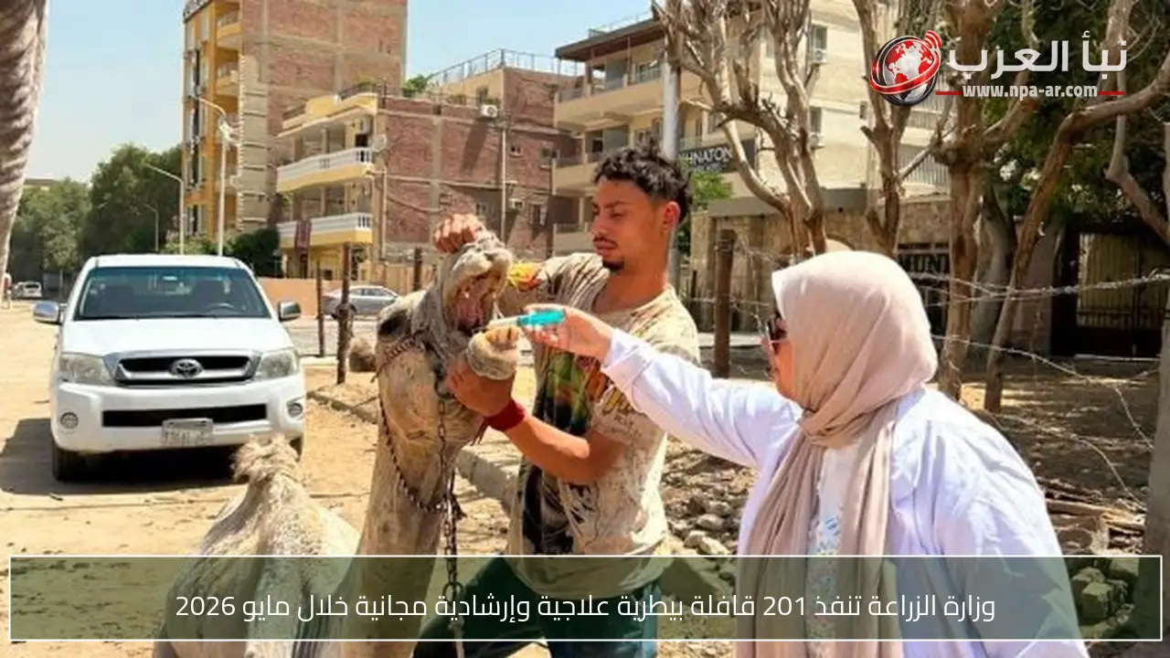 وزارة الزراعة تنفذ 201 قافلة بيطرية علاجية وإرشادية مجانية خلال مايو 2026