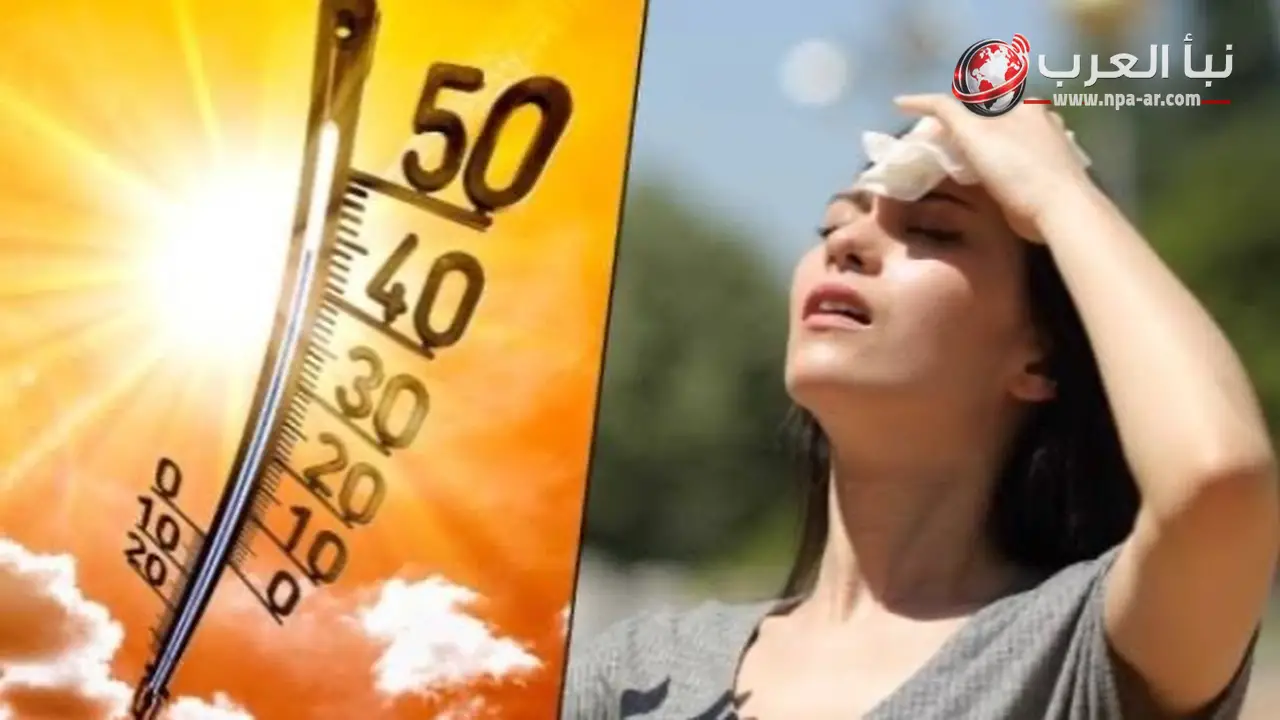 الأرصاد تتوقع طقس شديد الحرارة على أغلب الأنحاء اليوم الإثنين مع شبورة صباحاً