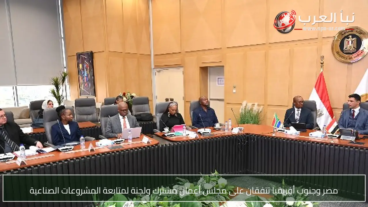 مصر وجنوب أفريقيا تتفقان على مجلس أعمال مشترك ولجنة لمتابعة المشروعات الصناعية