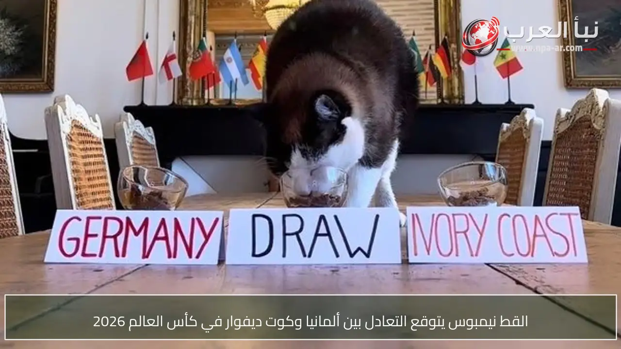 القط نيمبوس يتوقع التعادل بين ألمانيا وكوت ديفوار في كأس العالم 2026