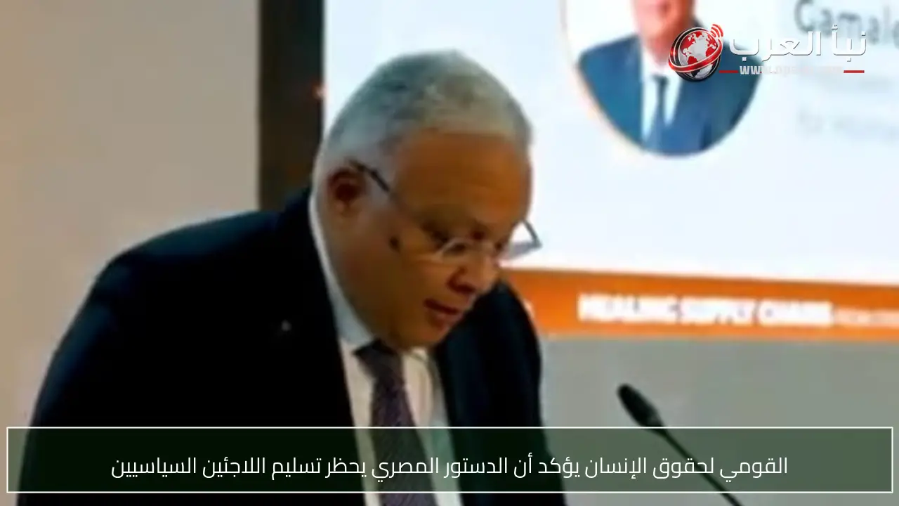 القومي لحقوق الإنسان يؤكد أن الدستور المصري يحظر تسليم اللاجئين السياسيين