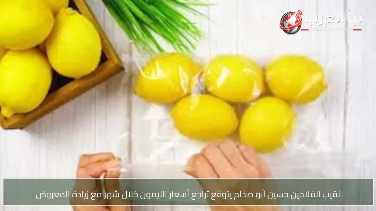 نقيب الفلاحين حسين أبو صدام يتوقع تراجع أسعار الليمون خلال شهر مع زيادة المعروض
