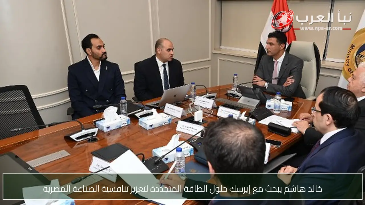 خالد هاشم يبحث مع إيرسك حلول الطاقة المتجددة لتعزيز تنافسية الصناعة المصرية