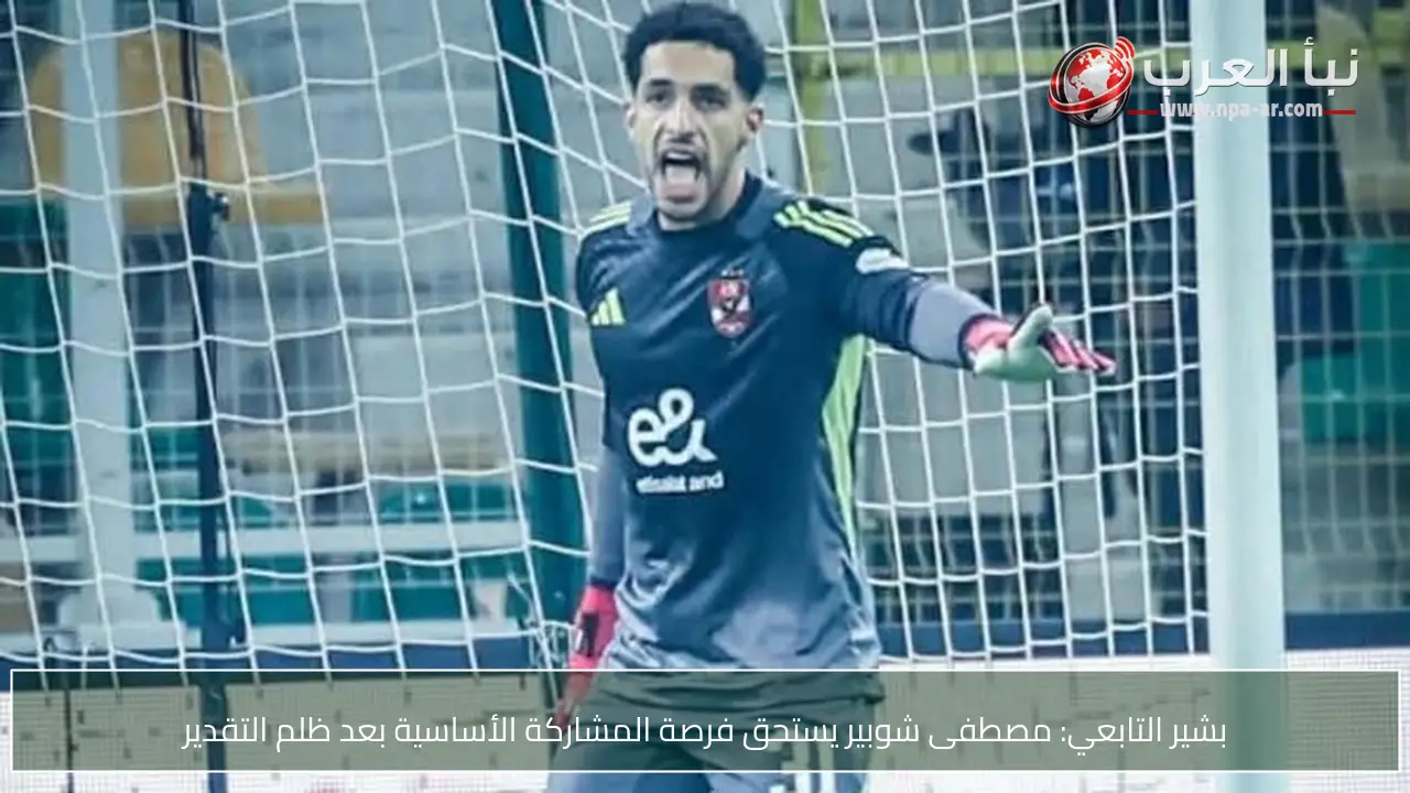 بشير التابعي: مصطفى شوبير يستحق فرصة المشاركة الأساسية بعد ظلم التقدير