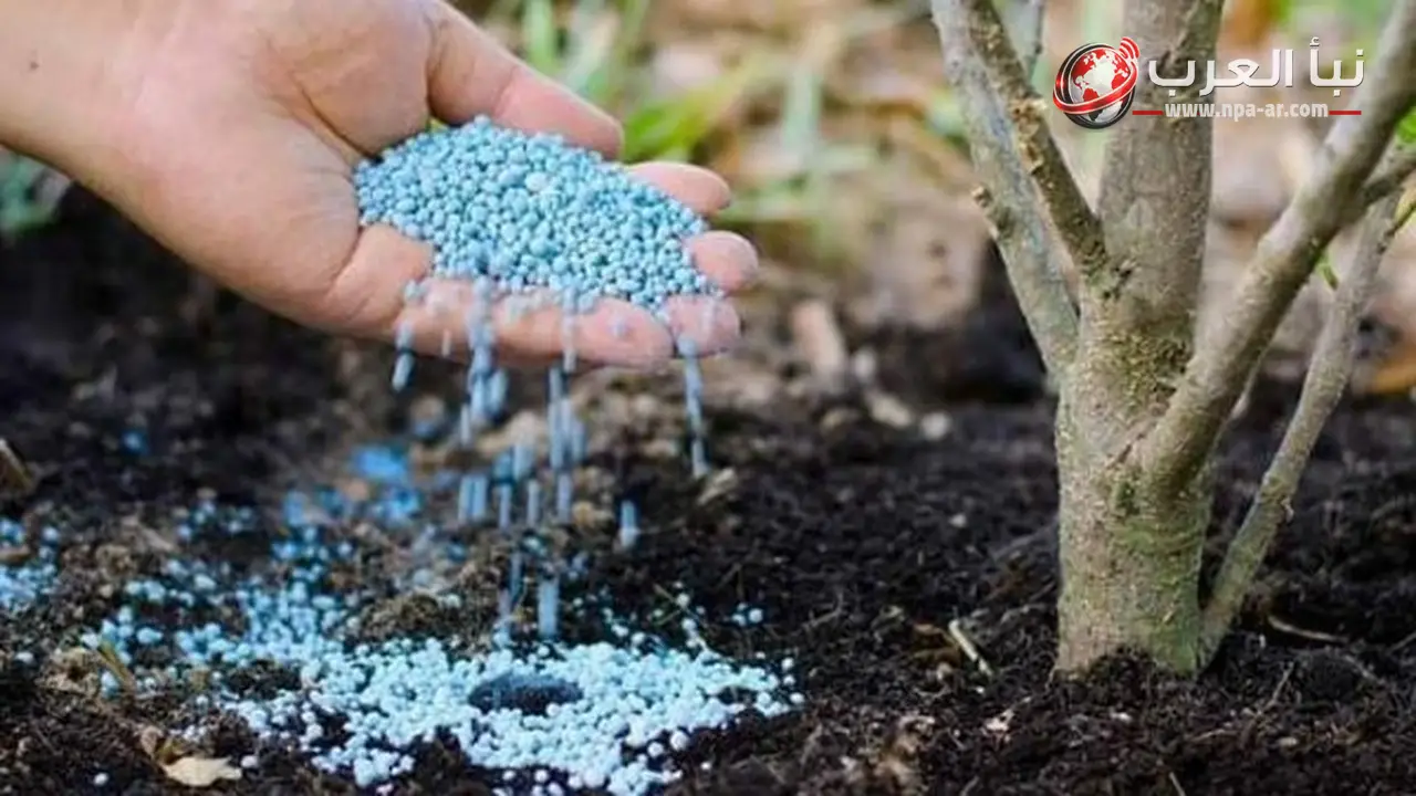 وزارة الزراعة تبدأ طرح الأسمدة الحرة داخل الجمعيات الزراعية بسعر 1200 جنيه للشيكارة
