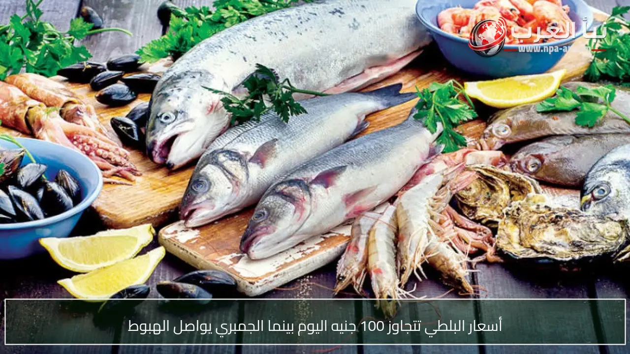 أسعار البلطي تتجاوز 100 جنيه اليوم بينما الجمبري يواصل الهبوط