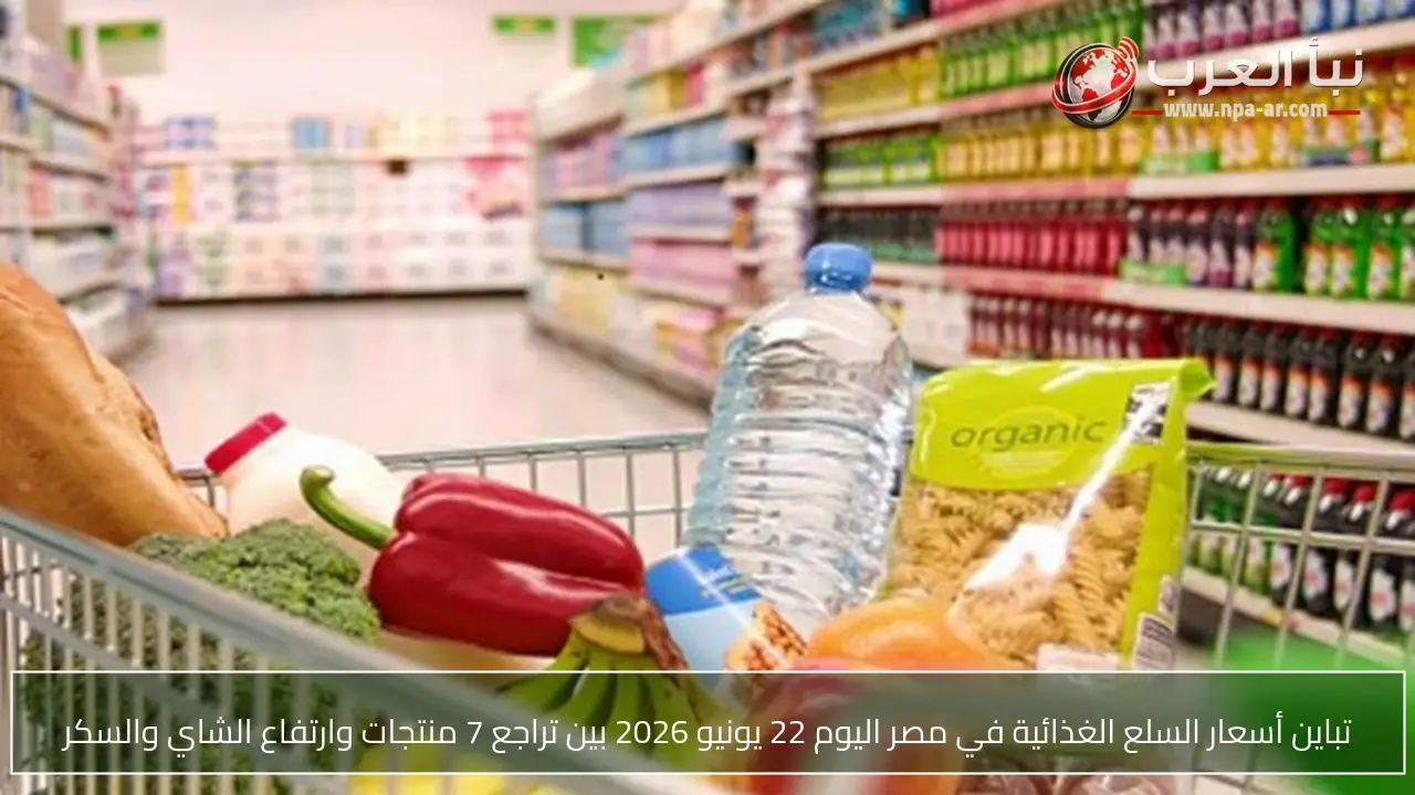تباين أسعار السلع الغذائية في مصر اليوم 22 يونيو 2026 بين تراجع 7 منتجات وارتفاع الشاي والسكر