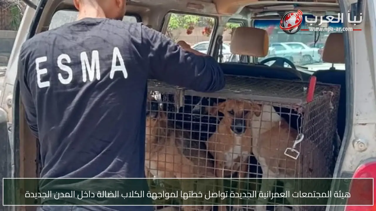هيئة المجتمعات العمرانية الجديدة تواصل خطتها لمواجهة الكلاب الضالة داخل المدن الجديدة