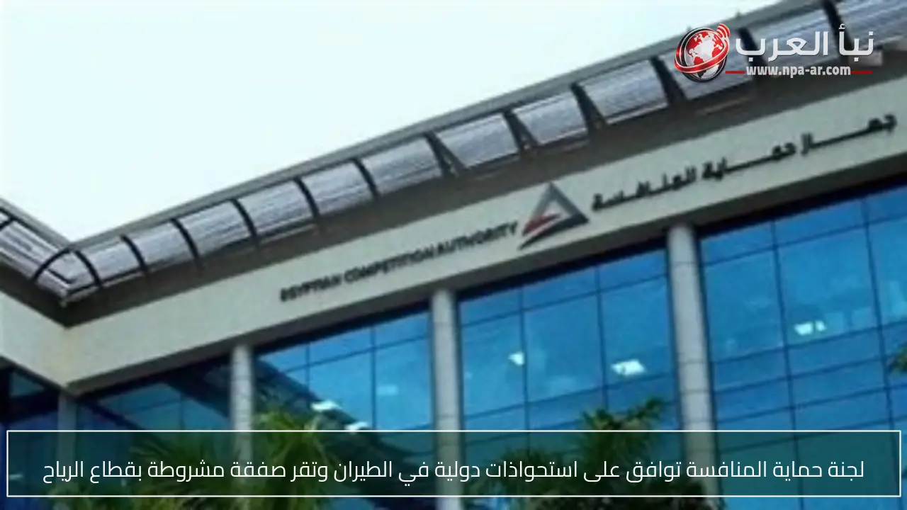 لجنة حماية المنافسة توافق على استحواذات دولية في الطيران وتقر صفقة مشروطة بقطاع الرياح