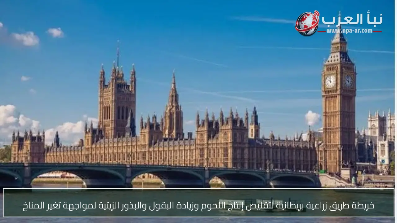خريطة طريق زراعية بريطانية لتقليص إنتاج اللحوم وزيادة البقول والبذور الزيتية لمواجهة تغير المناخ