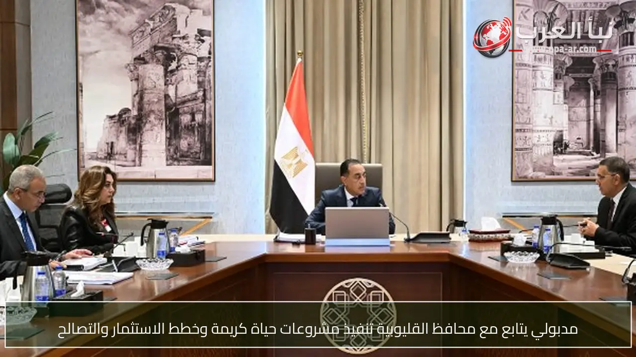 مدبولي يتابع مع محافظ القليوبية تنفيذ مشروعات حياة كريمة وخطط الاستثمار والتصالح