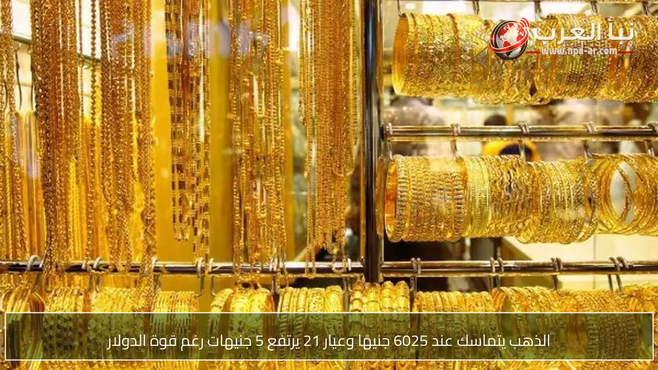 الذهب يتماسك عند 6025 جنيهًا وعيار 21 يرتفع 5 جنيهات رغم قوة الدولار