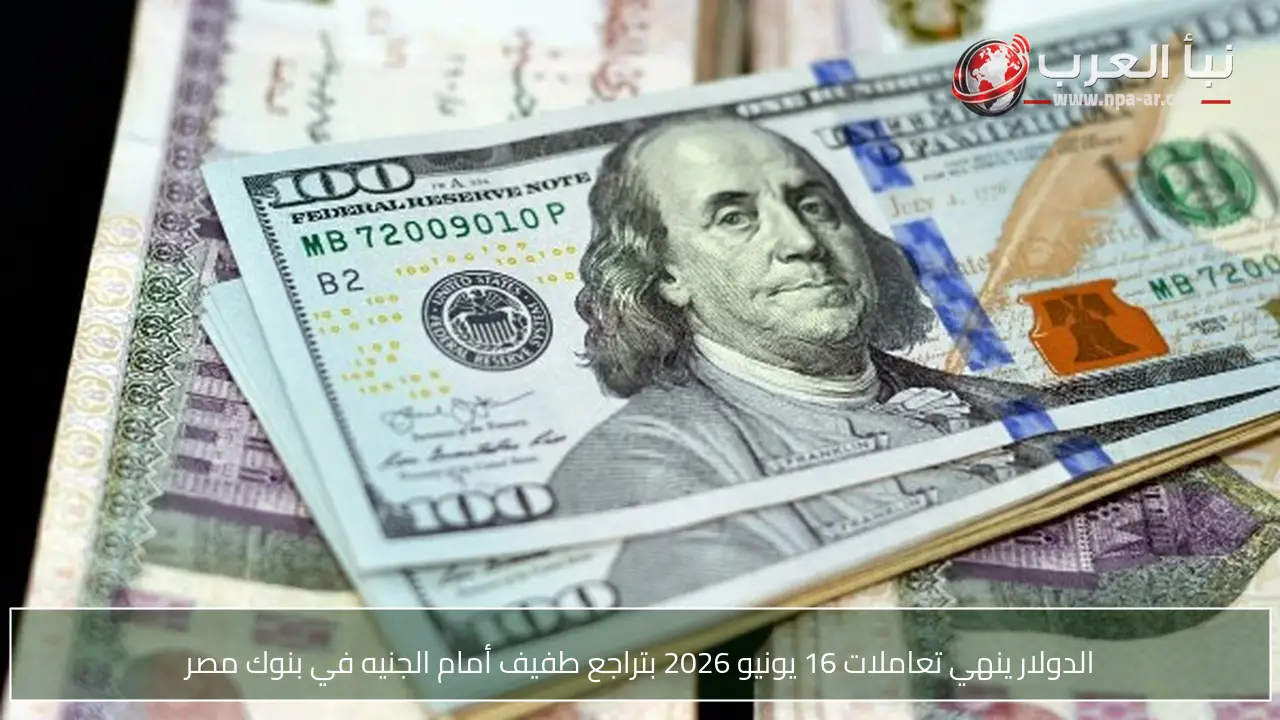 الدولار ينهي تعاملات 16 يونيو 2026 بتراجع طفيف أمام الجنيه في بنوك مصر