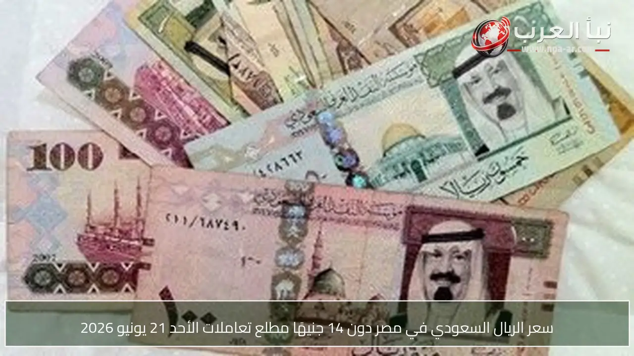 سعر الريال السعودي في مصر دون 14 جنيهًا مطلع تعاملات الأحد 21 يونيو 2026