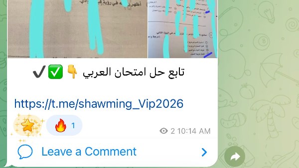 شاومينج ينشر صور يزعم أنها إجابات امتحان العربي لثانوية العامة 2026 والتعليم تتحقق